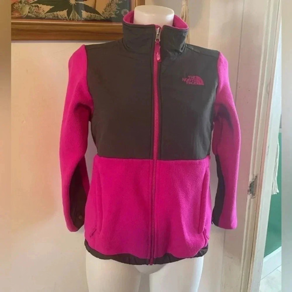 The North Face Other - North face Denali Fleece Jacket Girls Large 14/16 EUC!